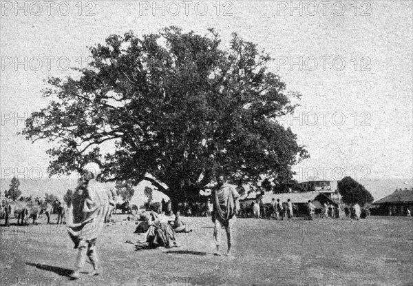 ''Le ficus geant de la place du marche d'Addis-Abeba; Le Nord-Est Africain', 1914. Creator: Charles Chusseau-Flaviens.