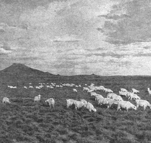 ''Un aspect du Haut Veld; Afrique Australe', 1914. Creator: Unknown.