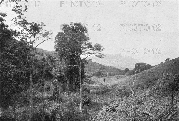 ''Dans les montagnes de l'Usambara; Afrique Australe', 1914. Creator: Unknown.