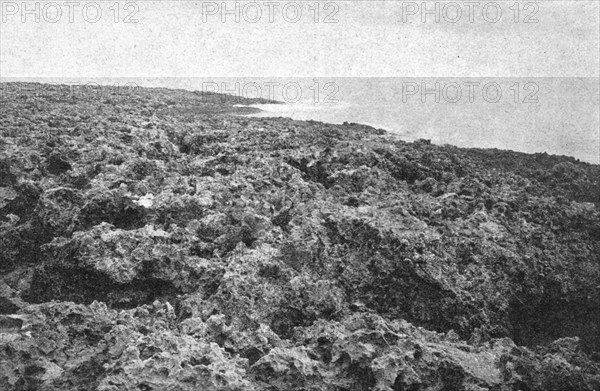 ''Une vue des cotes coralliennes de l'Australie; Les Terres Du Pacifique', 1914. Creator: Unknown.