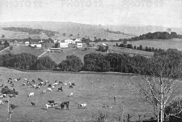 ''Une ferme dans la Nouvelle-Galles du Sud; Les Terres Du Pacifique', 1914. Creator: Unknown.
