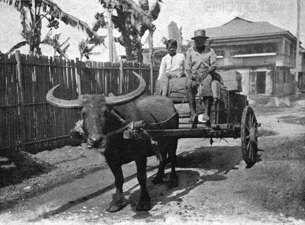 ''Type d'attelage aux Philippines; Les Terres Du Pacifique', 1914. Creator: Unknown.