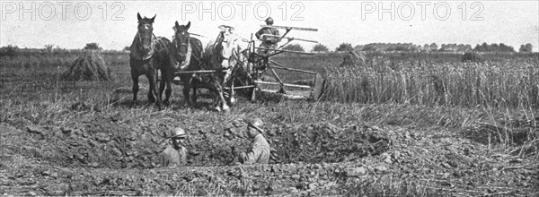 'Contrastes sur le front de la Somme; La moisson derriere le champ de bataille', 1916 Creator: Unknown.