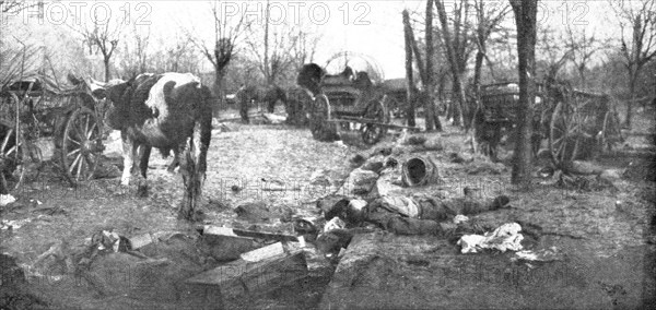 'La Serbie Victorieuse; l'etat de avenue du Bois de Topchidere, Belgrade', 1914. Creator: Unknown.