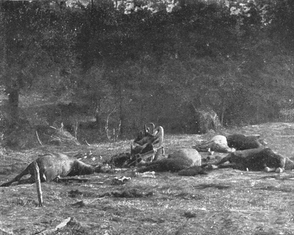 'Scenes de Guerre; Au cours la poursuite, un de nos obus tombe sur un caisson allemand', 1914 Creator: Unknown.