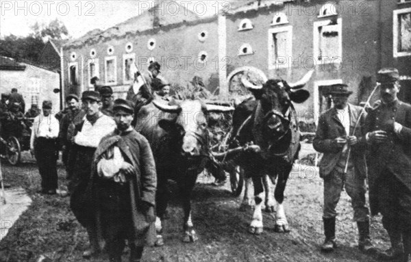 'En Alsace et sur la Frontiere; Bremenil, que traverse ce convoi de blesses', 1914. Creator: Unknown.