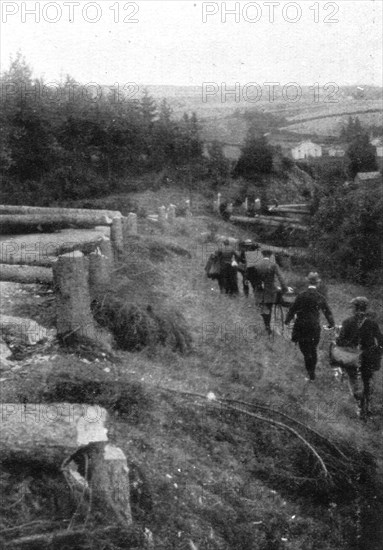 'De magnifigues arbres ombrageaient les grandes routes menant a Liege', 1914 Creator: Unknown.