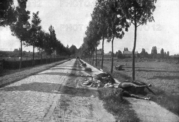 'Le Champ de Bataille; Sur la chausse pavee de Diest a Haelen', 1914. Creator: Meurisse.