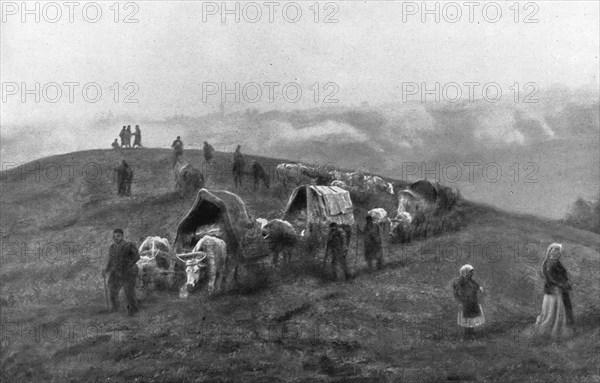 ''La Serbie Douloureuse', 1914. Creator: Unknown.