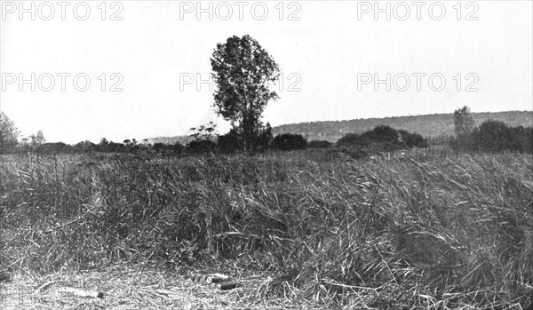 'L'immense champ de Bataille', 1914. Creator: Unknown.