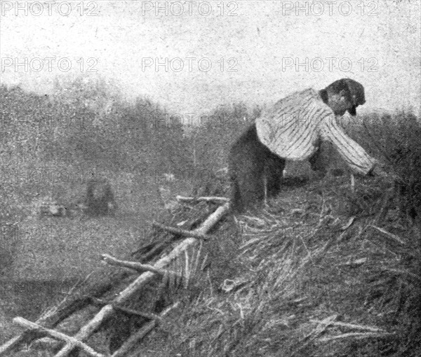 'Le front pittoresque; Villages de Paillot et Terriers a flanc de coteaux: Un "couvreur"', 1914. Creator: Unknown.