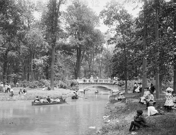 Bridge in the woods, Belle Isle [Park], Detroit, between 1900 and 1906. Creator: Lycurgus S. Glover.