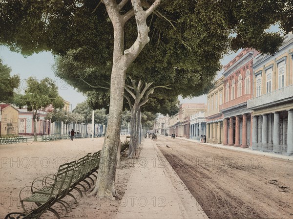 Paseo del Prado, Habana, c1900. Creator: William H. Jackson.