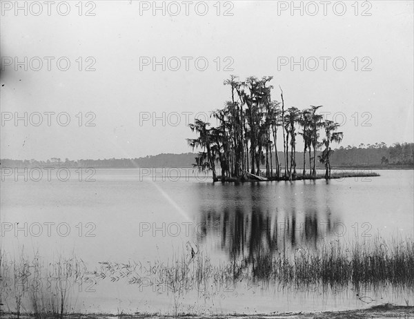 Lake Louise near Seville, Fla., between 1880 and 1897. Creator: William H. Jackson.