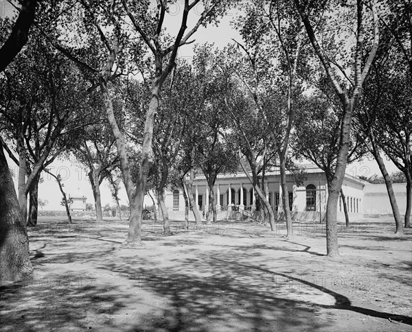 Hacienda Salinas, between 1880 and 1897. Creator: William H. Jackson.