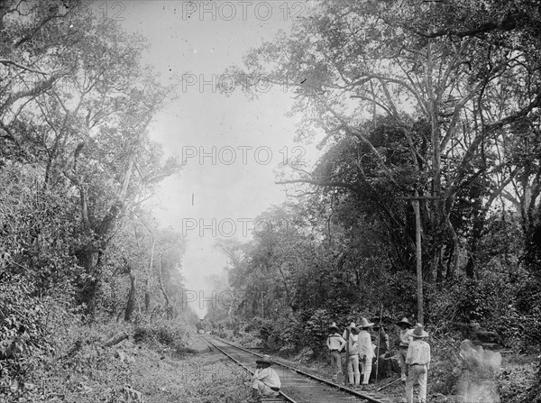 Train in the Cafetal of Temasopa (i.e. Tamasopo), between 1880 and 1897. Creator: William H. Jackson.