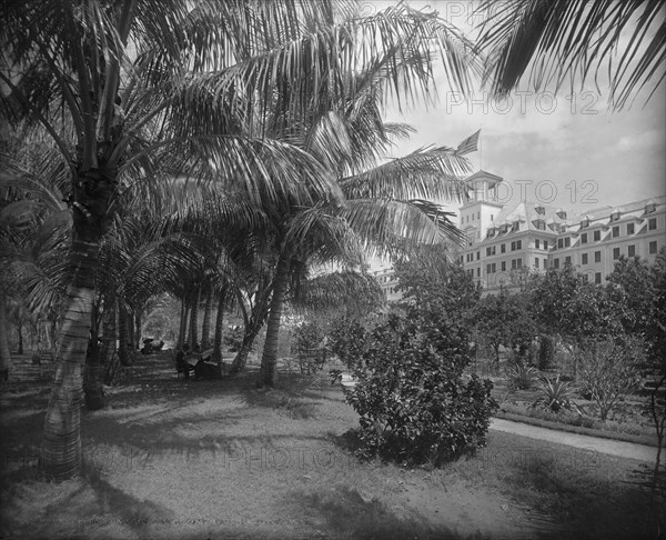 Hotel [Royal] Poinciana, Lake Worth, c1894. Creator: William H. Jackson.