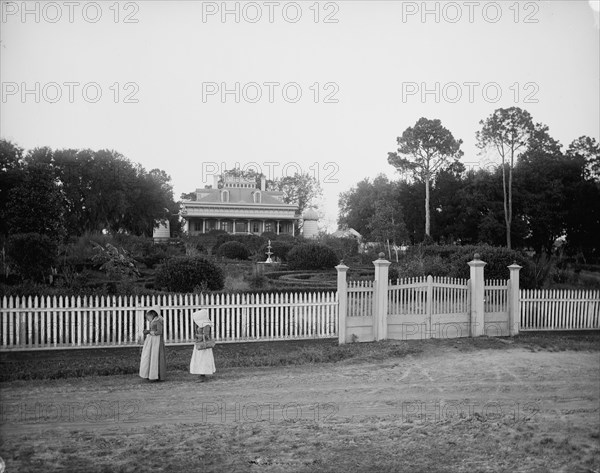 Planter's home on the Mississippi, between 1880 and 1897. Creator: William H. Jackson.