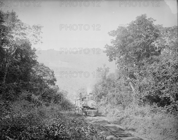 Train in Cafetal of Temasopa [sic], between 1880 and 1897. Creator: William H. Jackson.