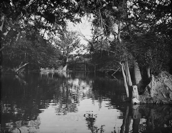 Puente Real near Rascon, between 1880 and 1897. Creator: William H. Jackson.