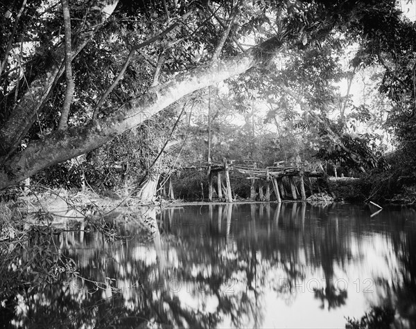 Puente Real near Rascon, between 1880 and 1897. Creator: William H. Jackson.