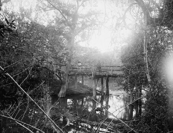 Bridge at Crucitas, between 1880 and 1897. Creator: William H. Jackson.