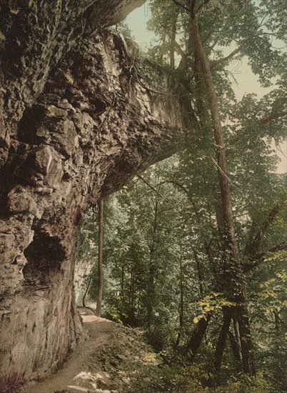 Niagara, footpath in Niagara Glen, c1898. Creator: Unknown.