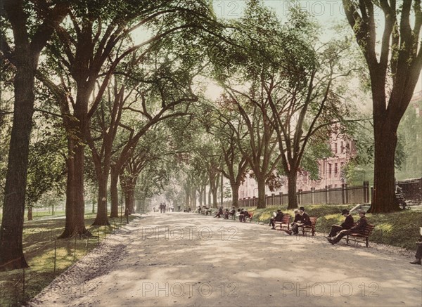 Beacon Street Mall, Boston, c1899. Creator: Unknown.