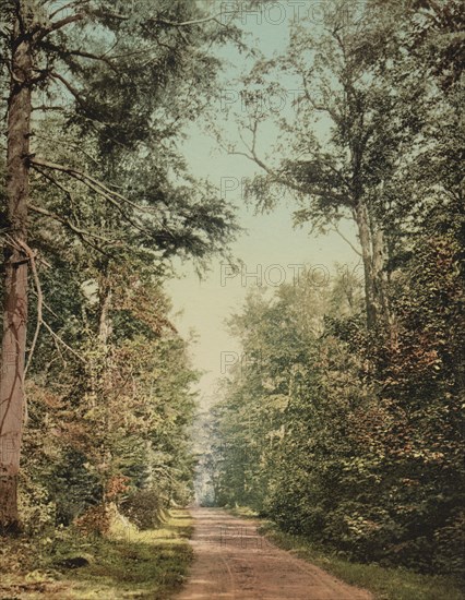 The Drive on Presque Isle [Park], Lake Superior, c1898. Creator: Unknown.