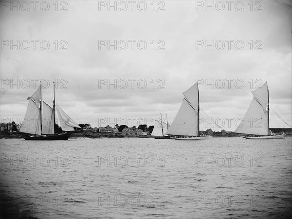 Yachts in Marblehead Harbor, June 28, 1888, 1888 June 28. Creator: Unknown.