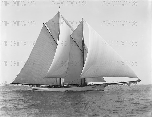 Merlin, 1892 Aug 8. Creator: Unknown.