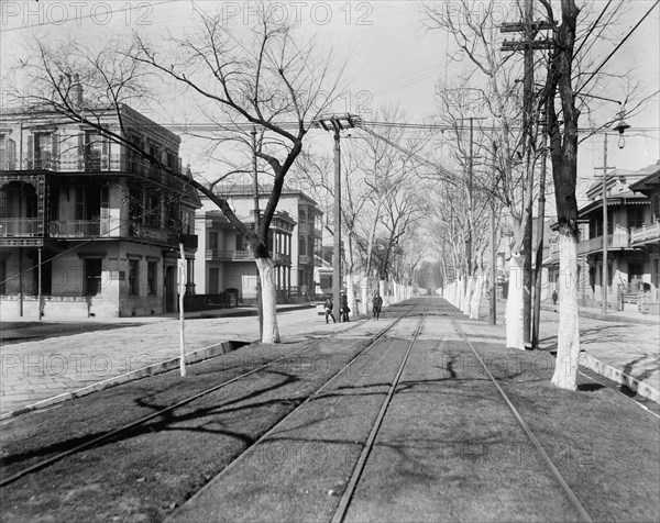 Esplanade Street, New Orleans, c1900. Creator: Unknown.