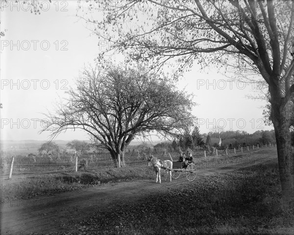 View near Basking Ridge, N.J., c1900. Creator: Unknown.