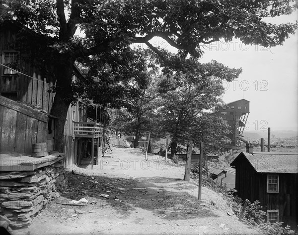 Street in Avondale, Pa., between 1900 and 1906. Creator: Unknown.