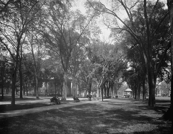 City Green, New Haven, between 1900 and 1906. Creator: Unknown.