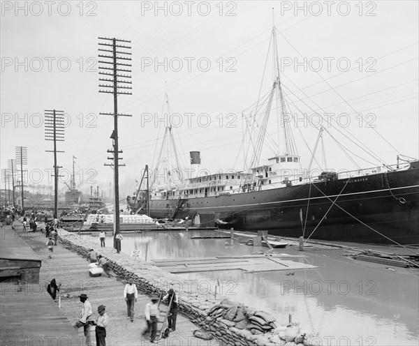 High Water at New Orleans, La. Levee, March 23, 1903, c1903. Creator: Unknown.