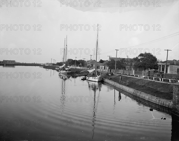 Evening on Bayou St. John, New Orleans, La., between 1900 and 1906. Creator: Unknown.