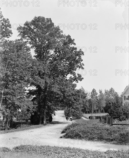 President at Chevy Chase, Washington, D.C., The, c1904. Creator: Unknown.