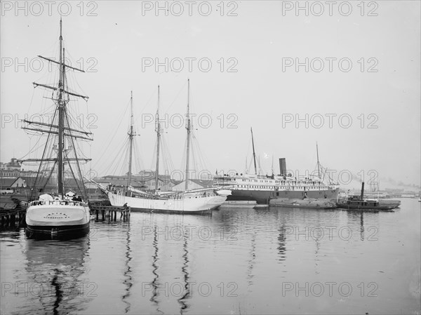 Along the river front, Jacksonville, Fla., c1904. Creator: Unknown.