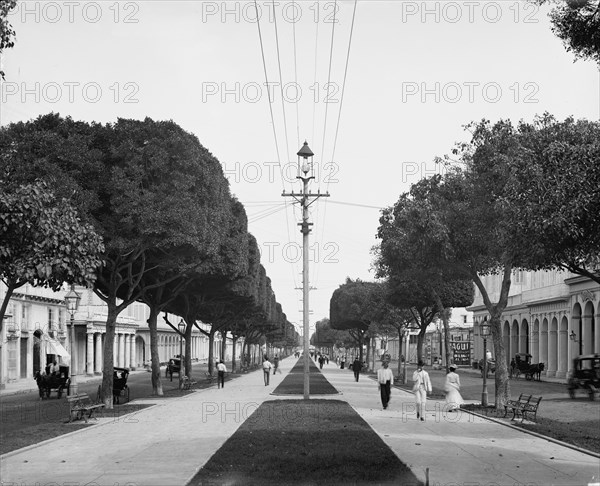 The Prado, looking north, Havana, Cuba, c1904. Creator: Unknown.