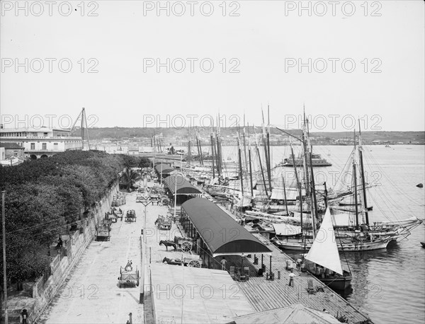 Muelle "Paula", Havana, Cuba, c1904. Creator: Unknown.