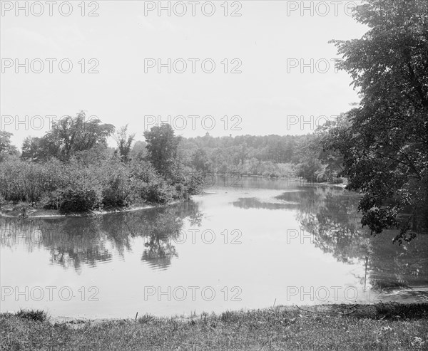 Glimpse of paradise, Smith College, Northampton, between 1900 and 1906. Creator: Unknown.