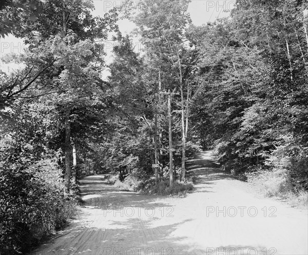 Parting of the ways, Dublin, N.H., c1905. Creator: Unknown.