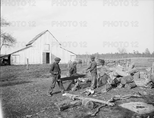 Nigger in the wood pile, c1905. Creator: Unknown.