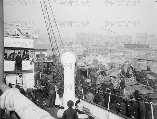 Unloading a banana steamer, Baltimore, Md., c1905. Creator: Unknown.