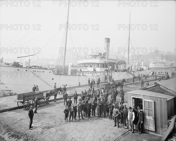 Pay day for the stevedores, Baltimore, Md., c1905. Creator: Unknown.