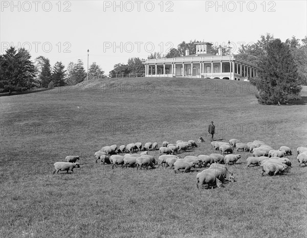 South terrace and Mansion, Druid Hill Park, Baltimore, Md., c1906. Creator: Unknown.