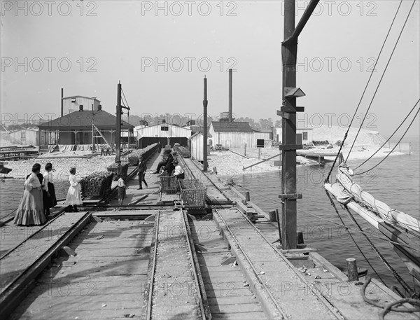 Point oyster houses, Biloxi, Miss., c1906. Creator: Unknown.