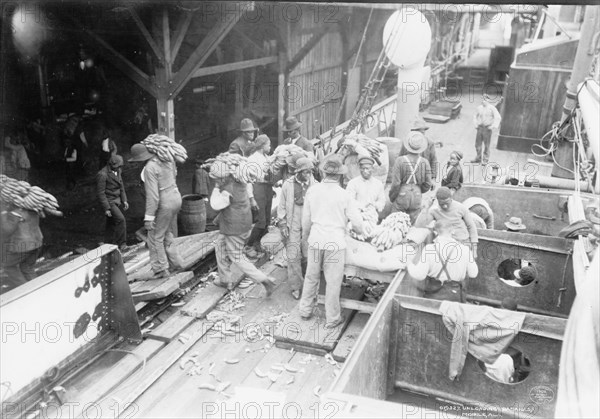 Unloading bananas, Mobile, Ala., c1906. Creator: Unknown.