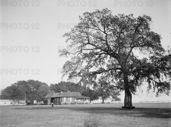 Mobile Country Club, Mobile, Ala., between 1900 and 1906. Creator: Unknown.